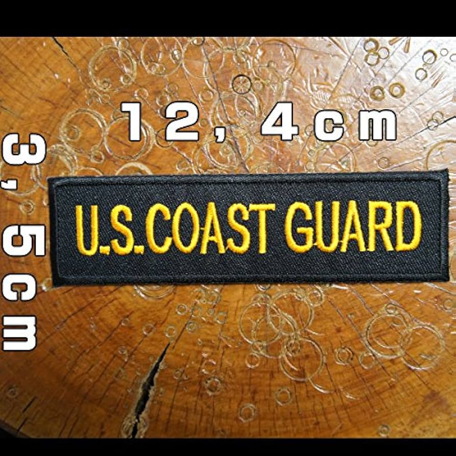 Amazon.co.jp: 刺繍アイロンワッペン・アップリケ・パッチ【U S